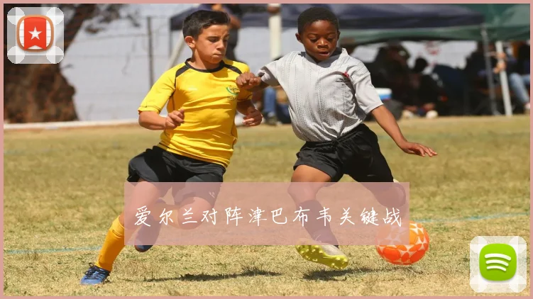 爱尔兰对阵津巴布韦关键战