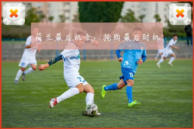 荷兰最后机会,抢购最后时机