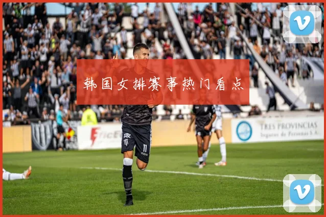 韩国女排赛事热门看点