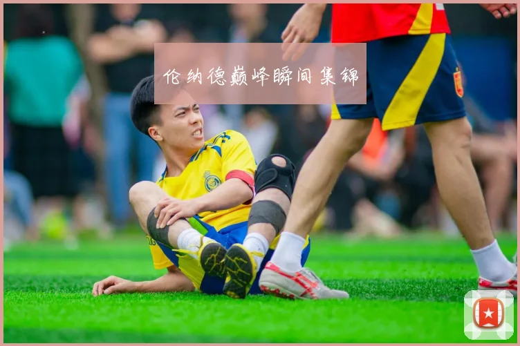 伦纳德巅峰瞬间集锦