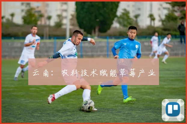 云南：农科技术赋能草莓产业