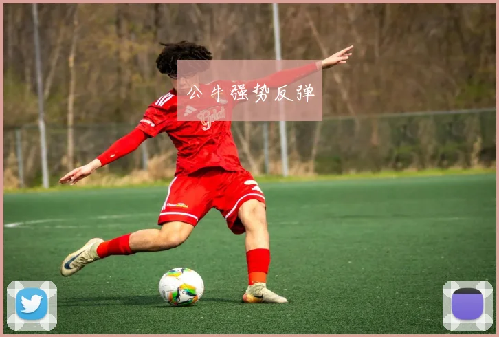 公牛强势反弹