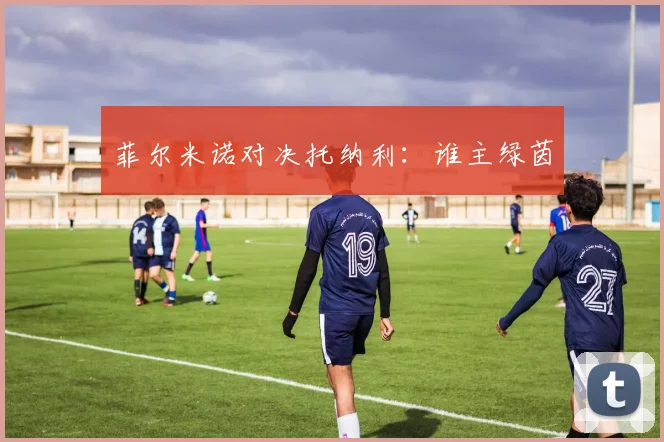 菲尔米诺对决托纳利:谁主绿茵