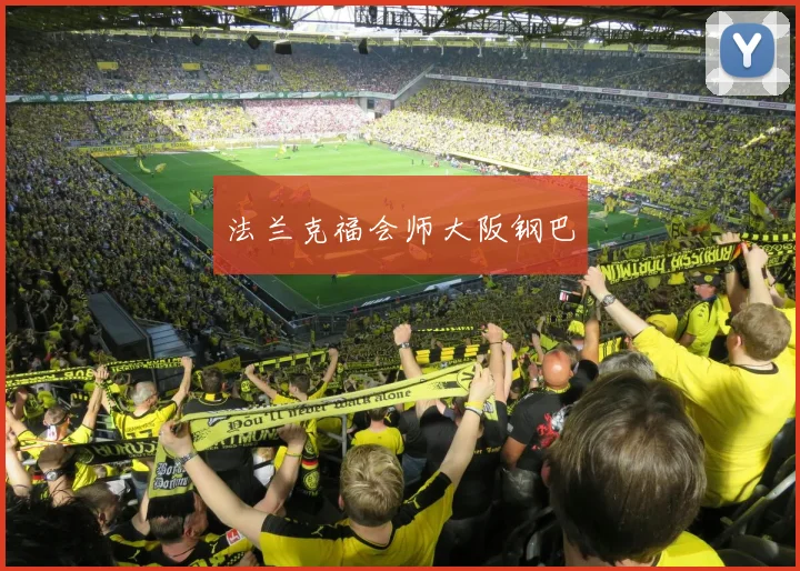法兰克福会师大阪钢巴