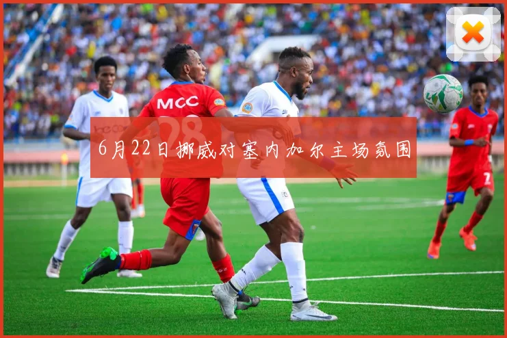 6月22日挪威对塞内加尔主场氛围