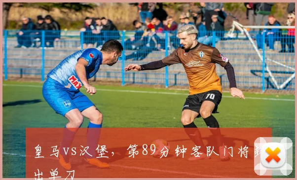 皇马vs汉堡，第89分钟客队门将封出单刀