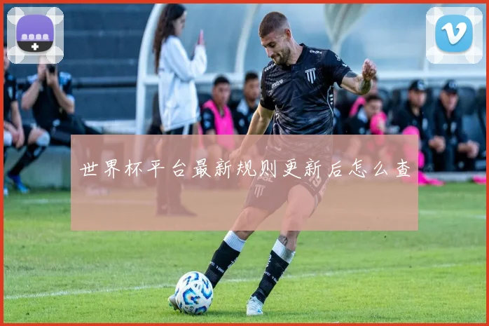 世界杯平台最新规则更新后怎么查